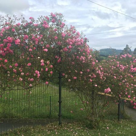 הוילה Candamin Acogedora Casa En Asturias מראה חיצוני תמונה